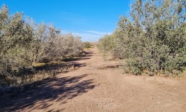 LOTE EN VENTA EN RUTA 60, Russell, Maipú, Mendoza