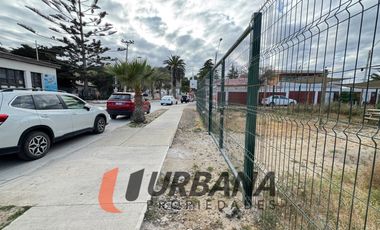 ESTRATEGICO SITIO COMERCIAL EN TONGOY