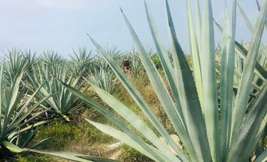 Reventa Lote Residencial de inversion en Telchac, Plusvalia inmediata!