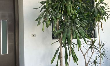 Casa en renta en Punto Sur