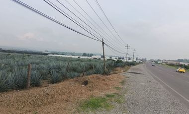 Terreno en San Isidro Mazatepec