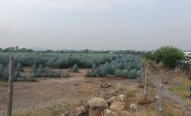 Terreno en San Isidro Mazatepec