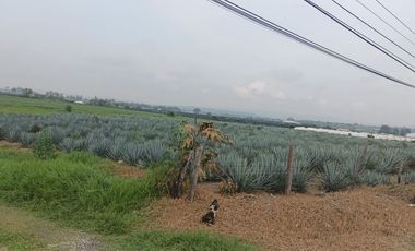 Terreno en San Isidro Mazatepec