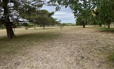 Casa quinta de 11 hectareas a minutos de Parana