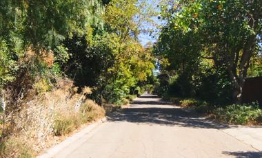 VENTA PARCELA CHICUREO POR CAMBIO DE CIUDAD