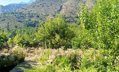 VENTA PARCELA  CON  CASA , ARBOLES FRUTALES Y PARRONALES