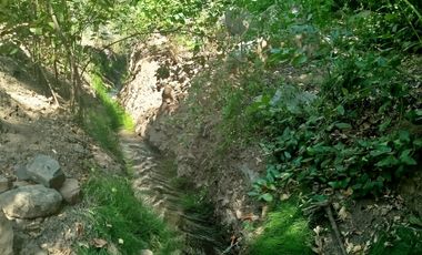 VENTA PARCELA  CON  CASA , ARBOLES FRUTALES Y PARRONALES