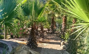 VENTA PARCELA  CON  CASA , ARBOLES FRUTALES Y PARRONALES