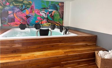 Amoblada HERMOSA Casa barrio Belén con Jacuzzi