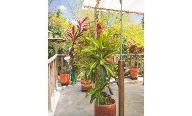 Casa con alojamiento en venta, en el caribe colombiano y rentando