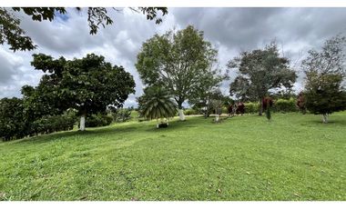 VENTA DE FINCA - HOTEL EN ALCAL, VALLE, COLOMBIA
