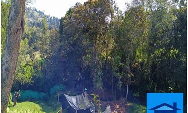 Venta De Finca Vereda Alto De Medina Guarne