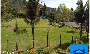 Venta De Finca Vereda Alto De Medina Guarne