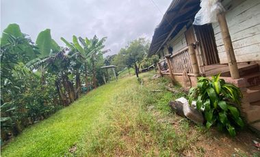 Finca Ganadera para la venta en la Vereda Monos en la Celia, Risaralda