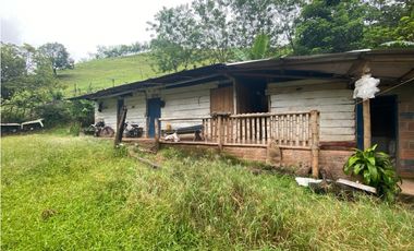 Finca Ganadera para la venta en la Vereda Monos en la Celia, Risaralda