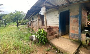 Finca Ganadera para la venta en la Vereda Monos en la Celia, Risaralda