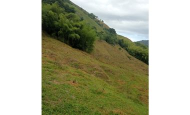 Finca Ganadera para la venta en la Vereda Monos en la Celia, Risaralda