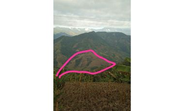 Finca Ganadera para la venta en la Vereda Monos en la Celia, Risaralda