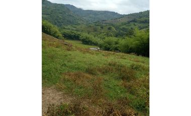 Finca Ganadera para la venta en la Vereda Monos en la Celia, Risaralda