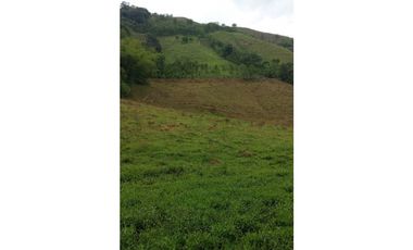 Finca Ganadera para la venta en la Vereda Monos en la Celia, Risaralda