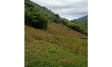 Finca Ganadera para la venta en la Vereda Monos en la Celia, Risaralda