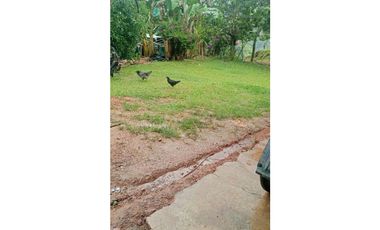 Finca Ganadera para la venta en la Vereda Monos en la Celia, Risaralda