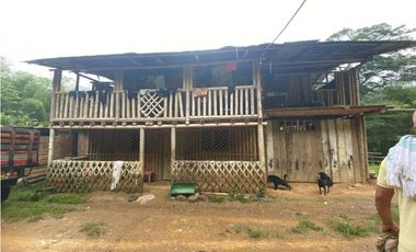 Finca Ganadera para la venta en la Vereda Monos en la Celia, Risaralda