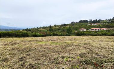 VENDO LOTE PLANO - CONJUNTO - EL ROBLE VILLA DE LEYVA - URGEME