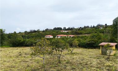 VENDO LOTE PLANO - CONJUNTO - EL ROBLE VILLA DE LEYVA - URGEME