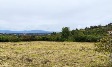 VENDO LOTE PLANO - CONJUNTO - EL ROBLE VILLA DE LEYVA - URGEME