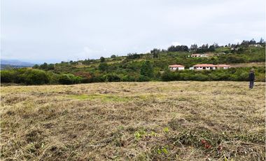 VENDO LOTE PLANO - CONJUNTO - EL ROBLE VILLA DE LEYVA - URGEME