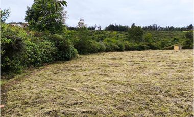 VENDO LOTE PLANO - CONJUNTO - EL ROBLE VILLA DE LEYVA - URGEME