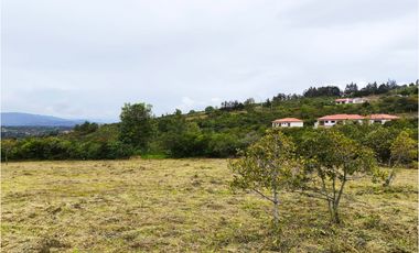 VENDO LOTE PLANO - CONJUNTO - EL ROBLE VILLA DE LEYVA - URGEME