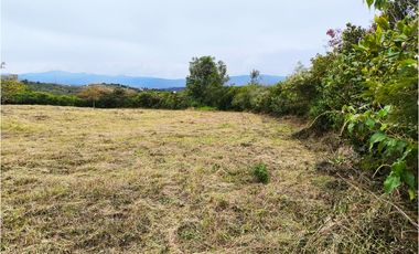 VENDO LOTE PLANO - CONJUNTO - EL ROBLE VILLA DE LEYVA - URGEME