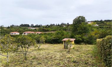 VENDO LOTE PLANO - CONJUNTO - EL ROBLE VILLA DE LEYVA - URGEME