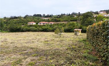 VENDO LOTE PLANO - CONJUNTO - EL ROBLE VILLA DE LEYVA - URGEME