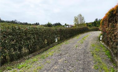 VENDO LOTE PLANO - CONJUNTO - EL ROBLE VILLA DE LEYVA - URGEME