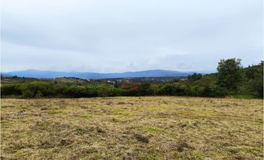 VENDO LOTE PLANO - CONJUNTO - EL ROBLE VILLA DE LEYVA - URGEME