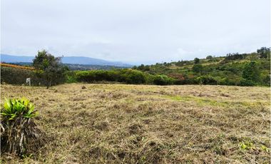 VENDO LOTE PLANO - CONJUNTO - EL ROBLE VILLA DE LEYVA - URGEME