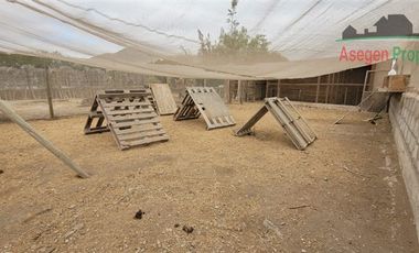 Parcela en Venta en Parcela con casa en venta en Fundo Dos Hermanas.