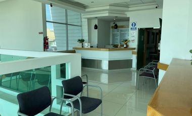 LOCAL COMERCIAL EN RENTA