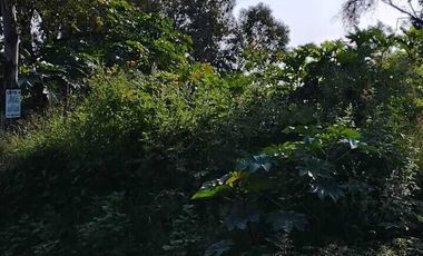 Terreno en venta cerro del tesoro