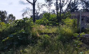 Terreno en venta cerro del tesoro