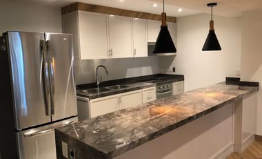 RENTA DEPARTAMENTO EN POLANCO V SECCIÓN