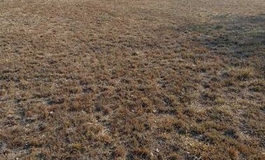 TERRENO EN SAN ISIDRO MAZATEPEC