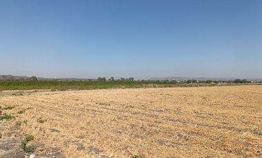 RANCHO AGRÍCOLA EN VENTA EN ZONA BERNAL QUERETARO