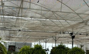 Quinta en Venta EVENTOS Xochitepec Morelos