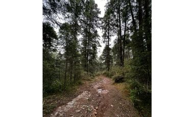 Venta de Terreno 40 hectáreas ideal   ecoturismo en Mineral del Chico