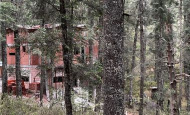 Venta de Terreno 40 hectáreas ideal   ecoturismo en Mineral del Chico