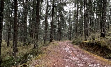 Venta de Terreno 40 hectáreas ideal   ecoturismo en Mineral del Chico